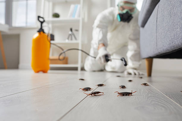 Commercial Kitchen Cockroach Control in Monroe